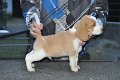 Afb_20130110_Benny (5)